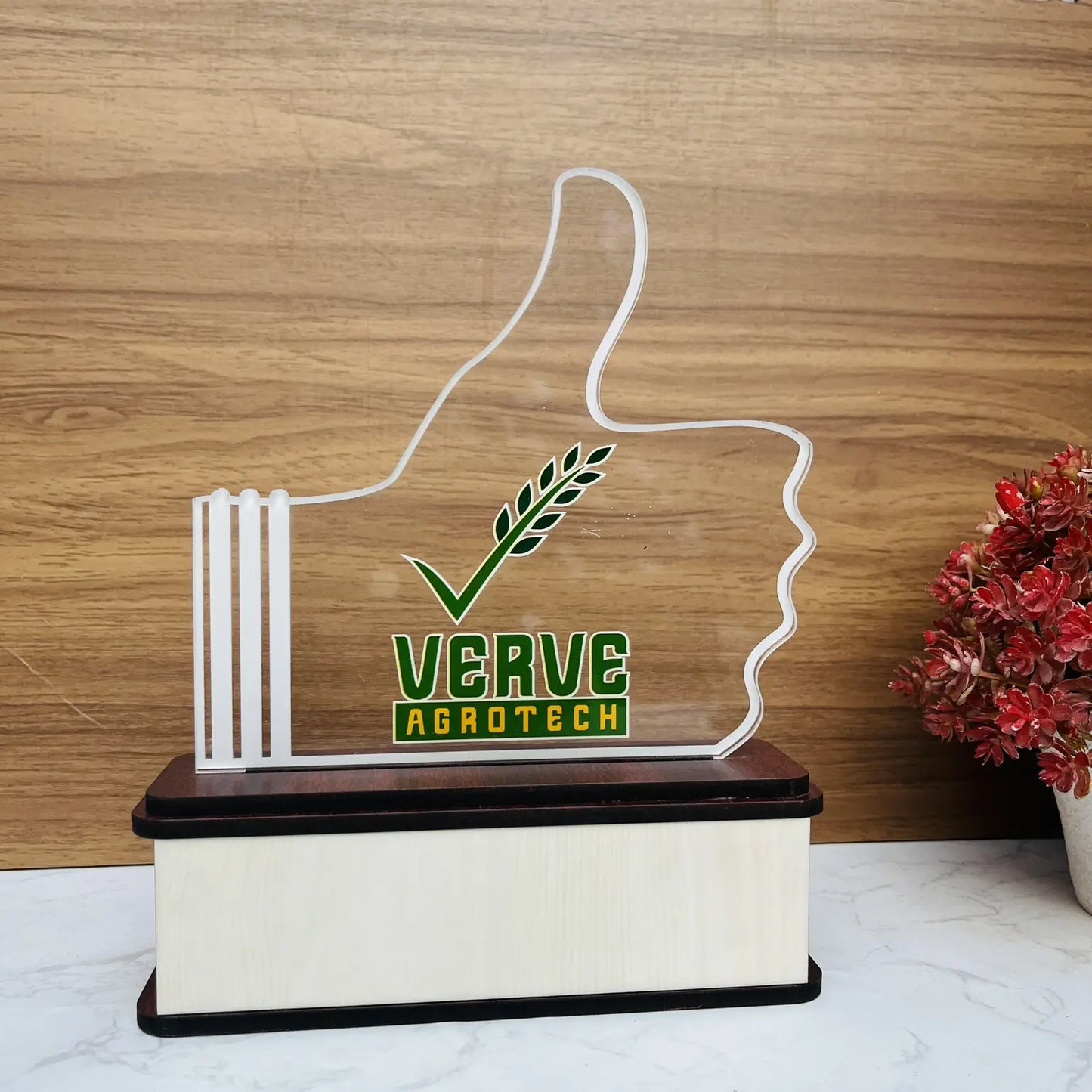 Verve Acrylic Trophy Awards for Corporate Events